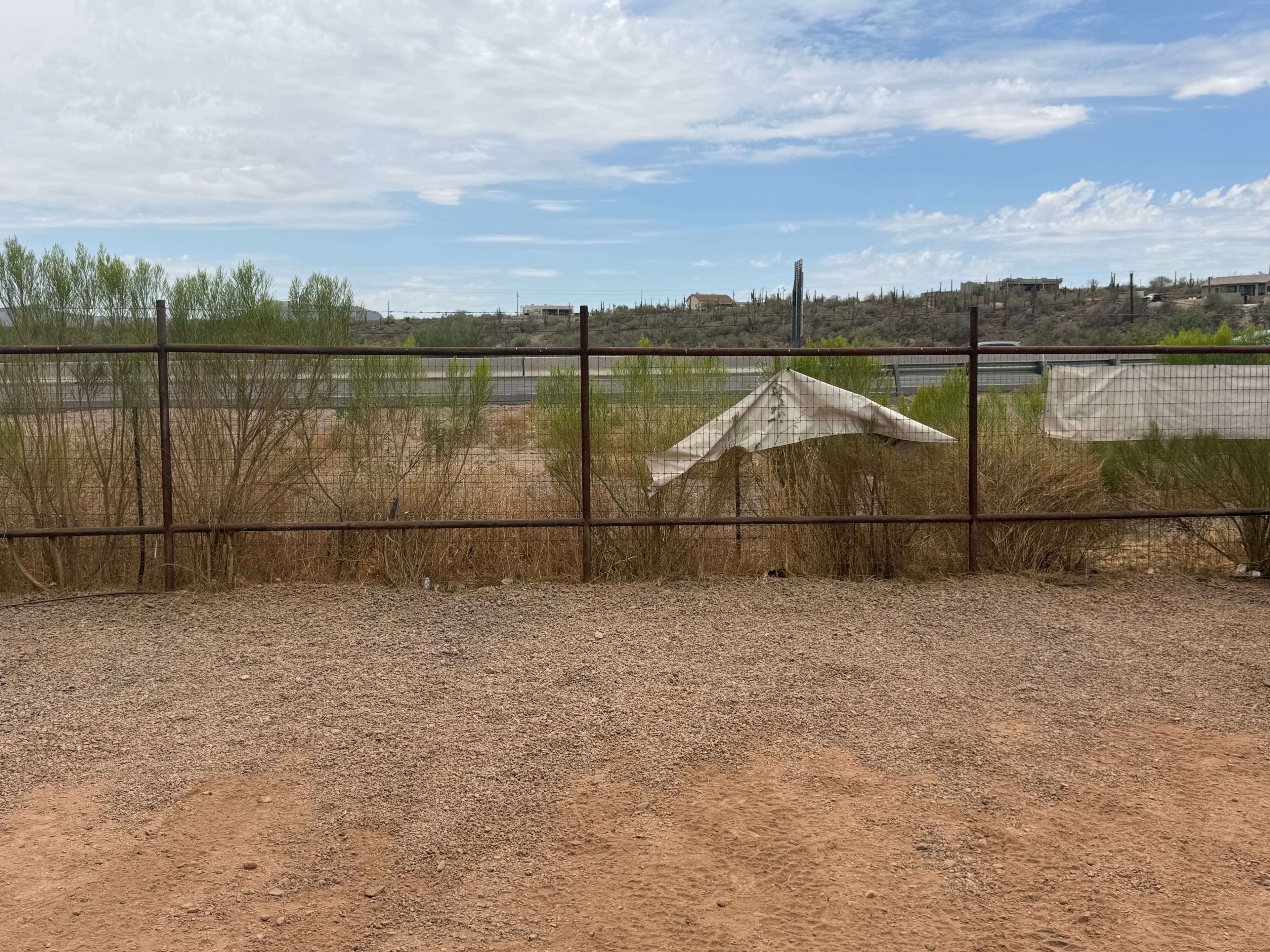 Commercial Property Cleanup — before