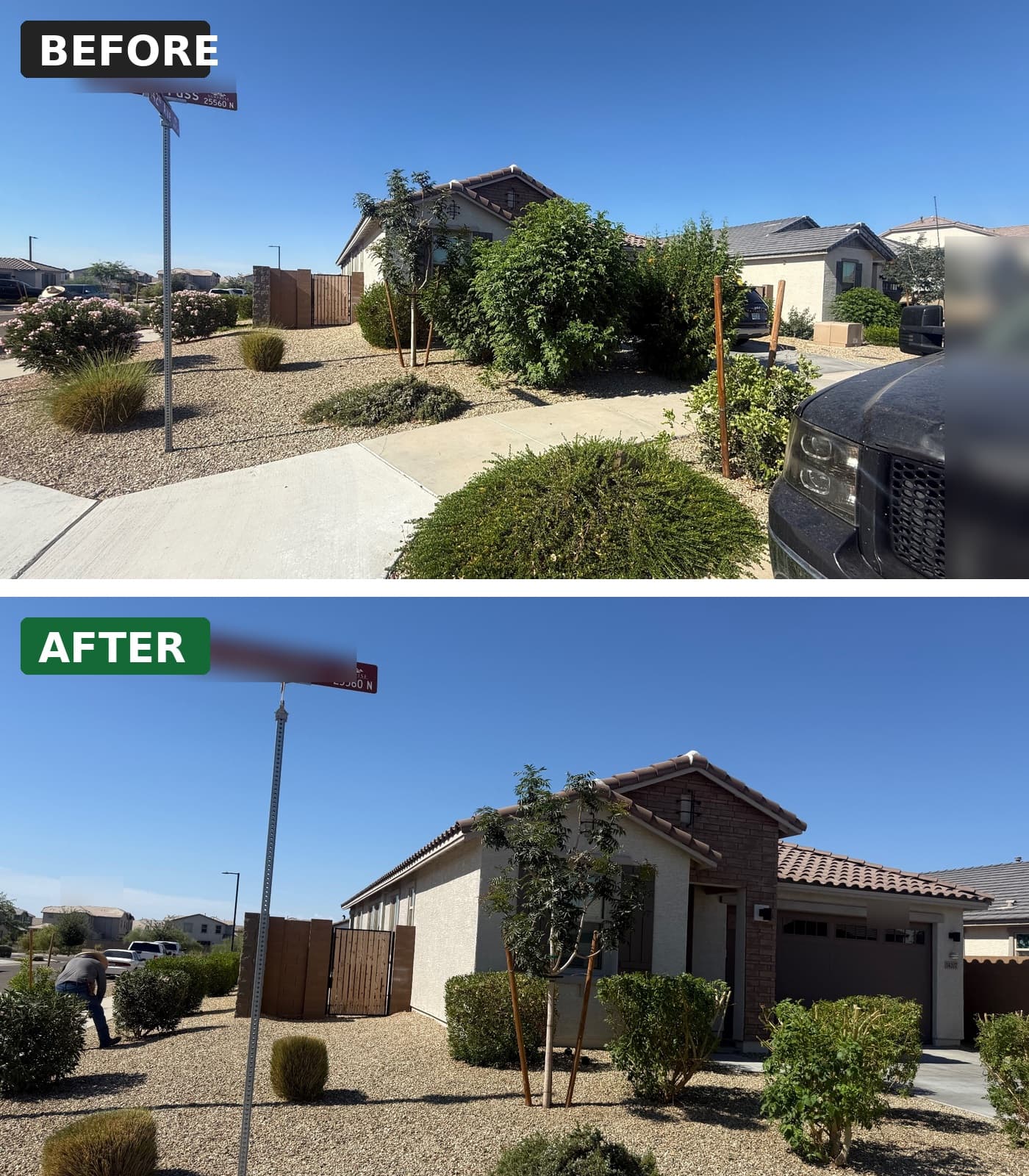 House Yard Cleanup — before