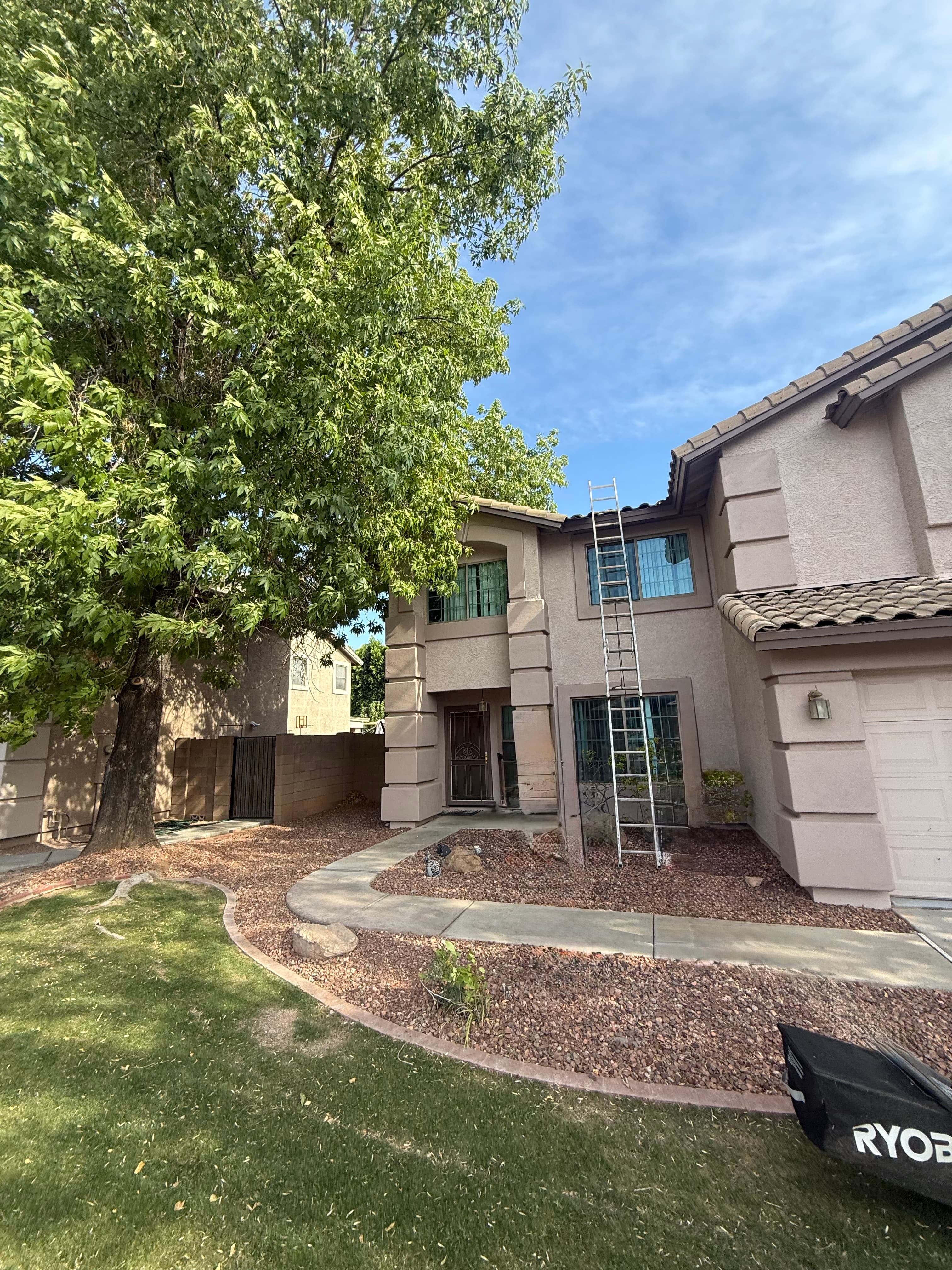 Mature Tree Pruning & Cleanup — after